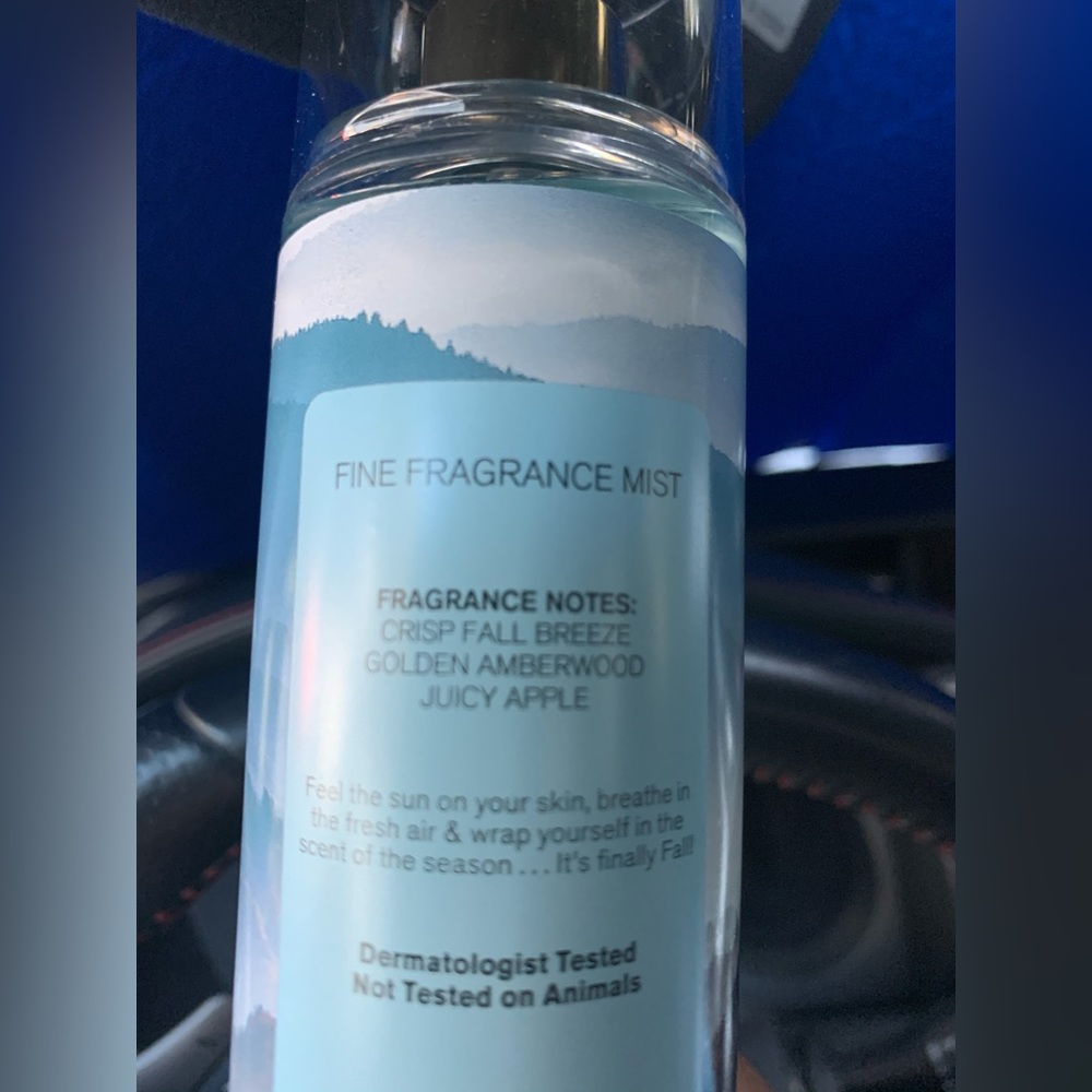 NEW Bath & Body Works CRISP MORNING AIR 🏔️ - Picture 2 of 3